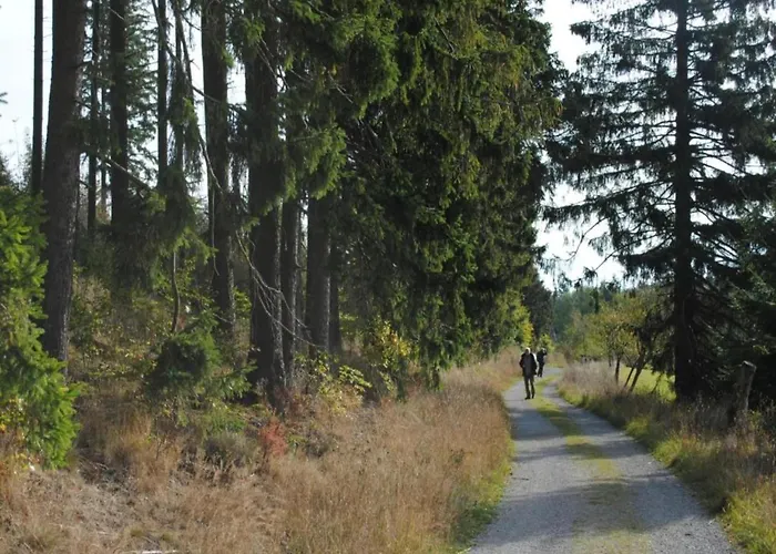 Appartement In Bontkirchen Brilon