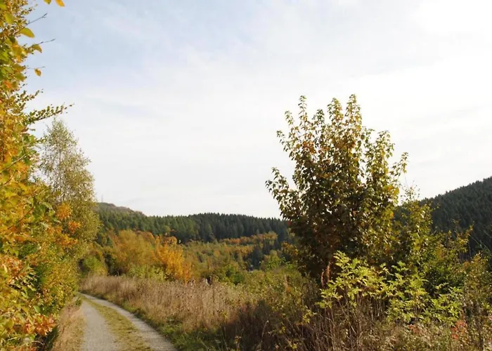 In Bontkirchen Brilon