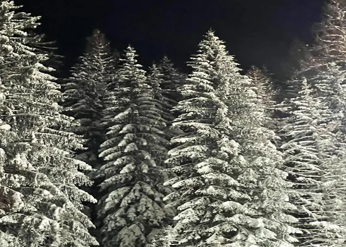 In Bontkirchen Appartement