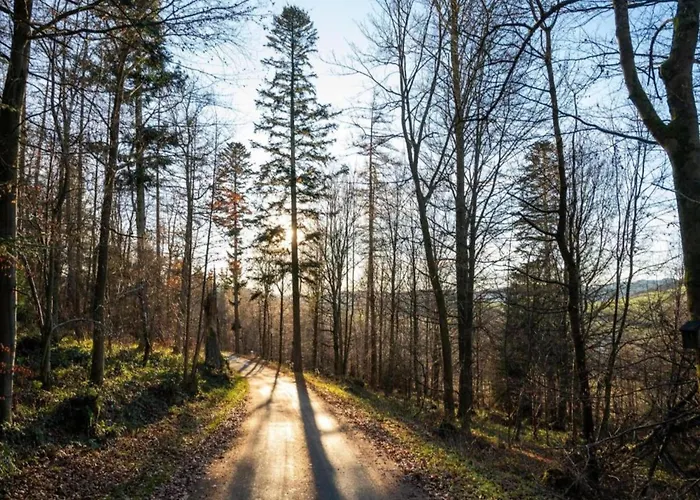 In Bontkirchen * Brilon